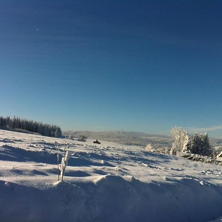 K Zastavce 557 Villa Kovarska ภายนอก รูปภาพ